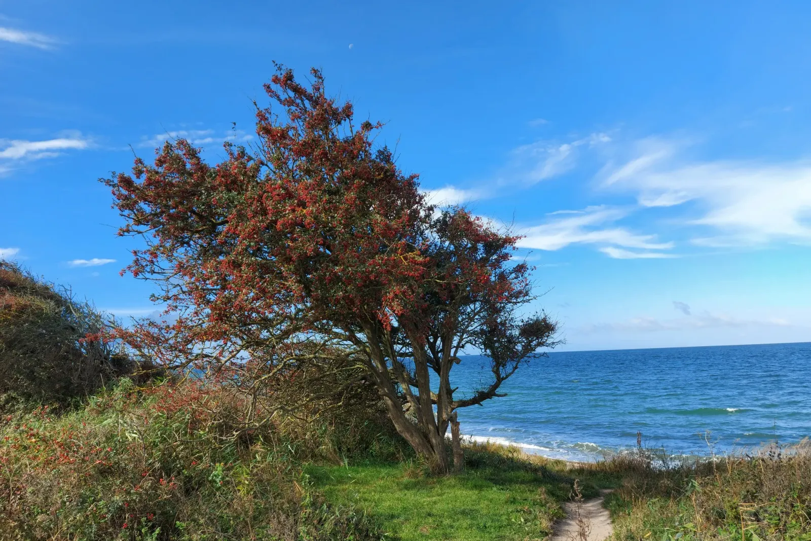 Natur Börgerende