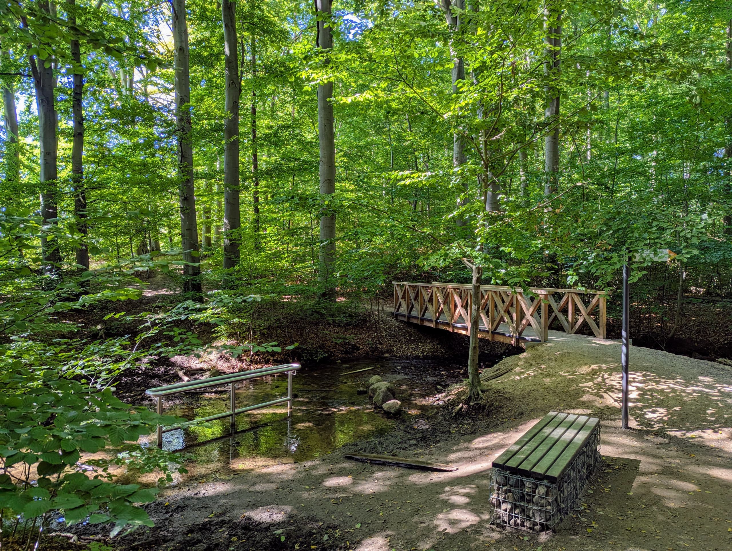 Kur- & Heilwald Bad Doberan