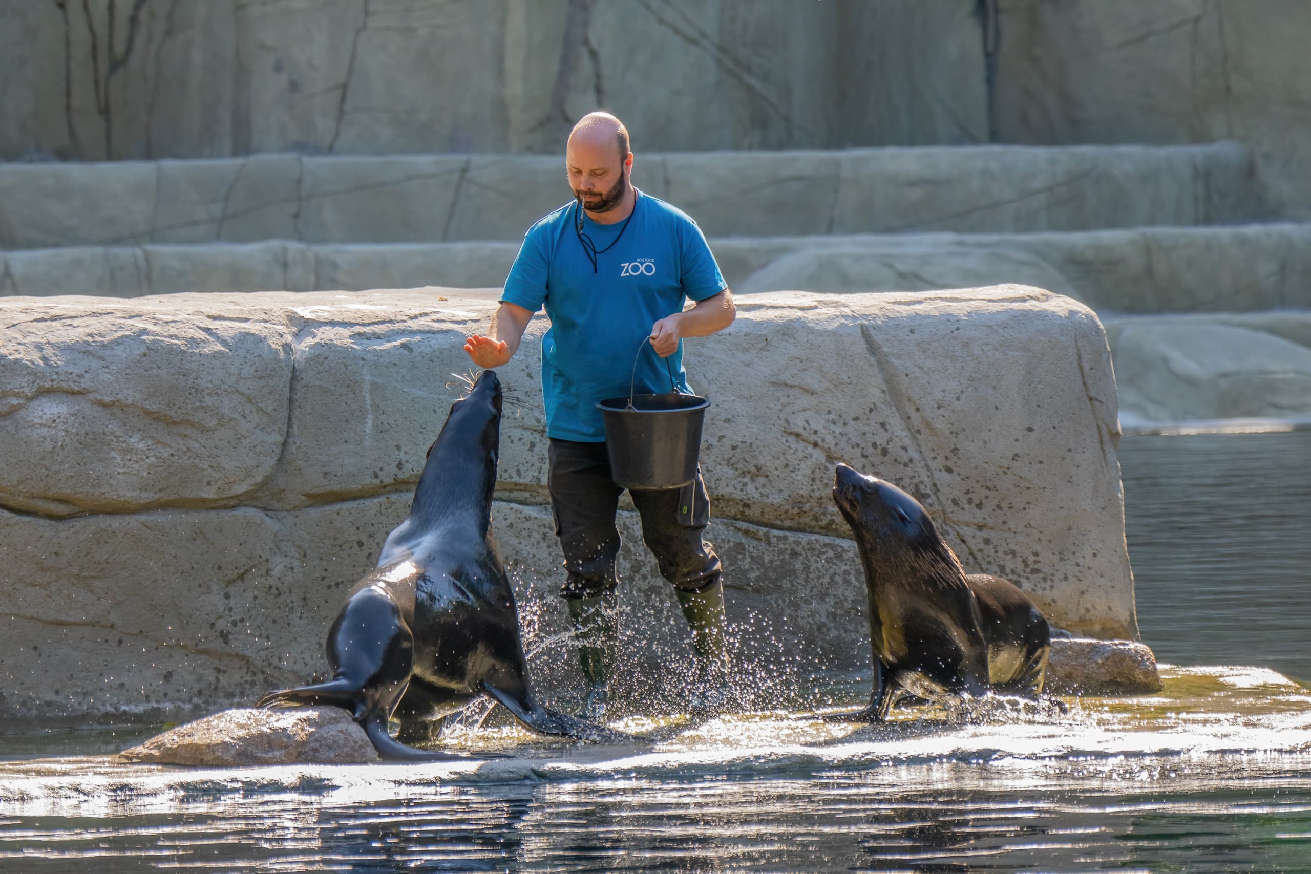 Zoo Rostock Tierfütterung