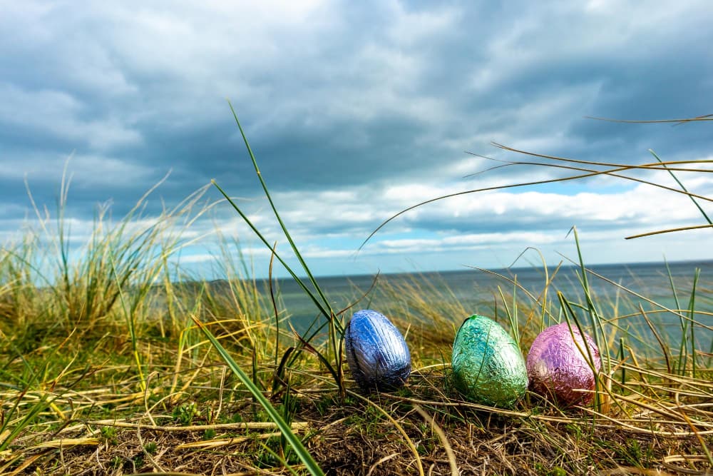 Frühlingserwachen in Börgerende